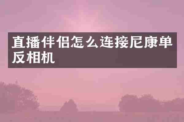 直播伴侣怎么连接尼康单反相机