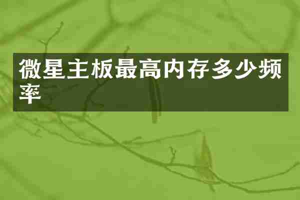 微星主板最高内存多少频率
