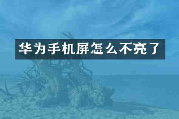 华为手机屏怎么不亮了