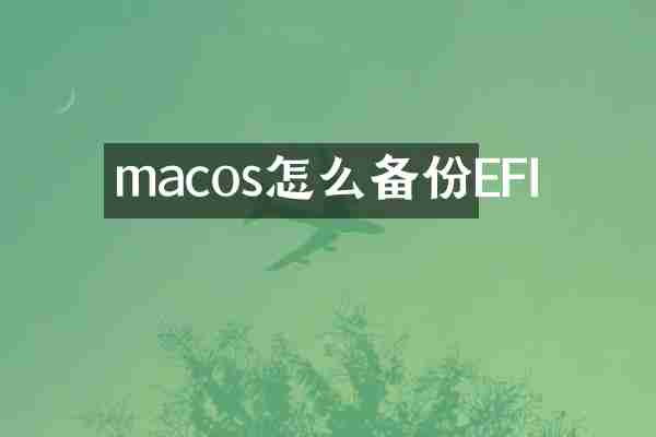 macos怎么备份EFI