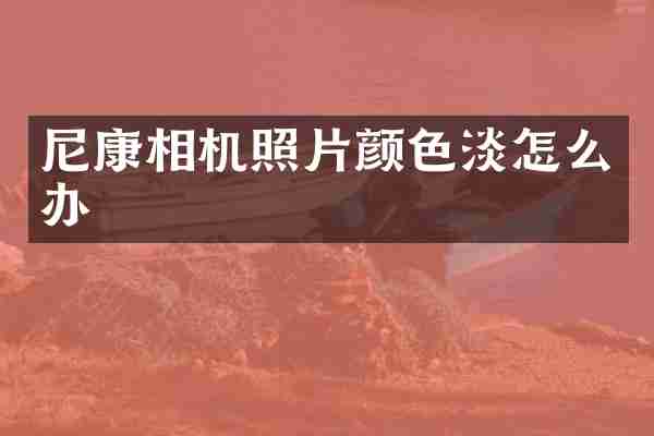 尼康相机照片颜色淡怎么办