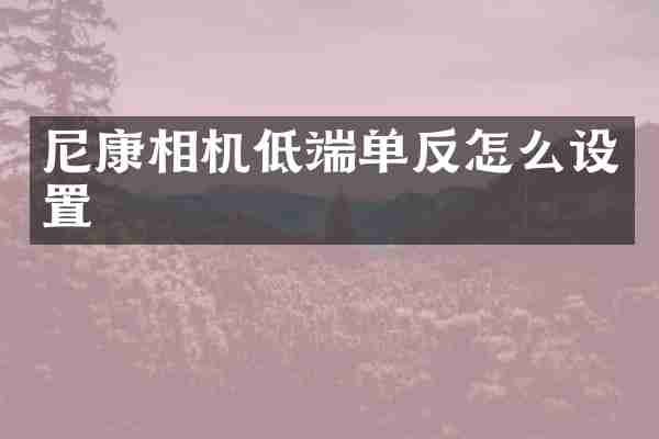 尼康相机低端单反怎么设置