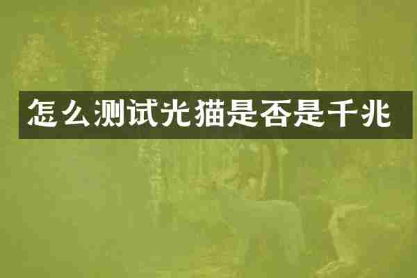怎么测试光猫是否是千兆