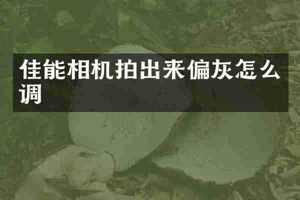 佳能相机拍出来偏灰怎么调