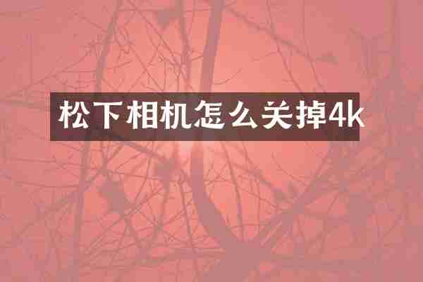 松下相机怎么关掉4k