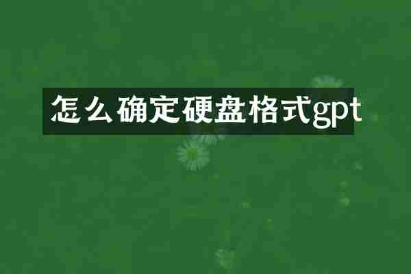 怎么确定硬盘格式gpt