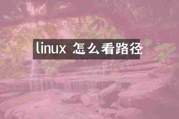 linux 怎么看路径