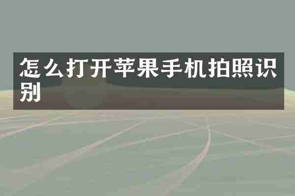 怎么打开苹果手机拍照识别