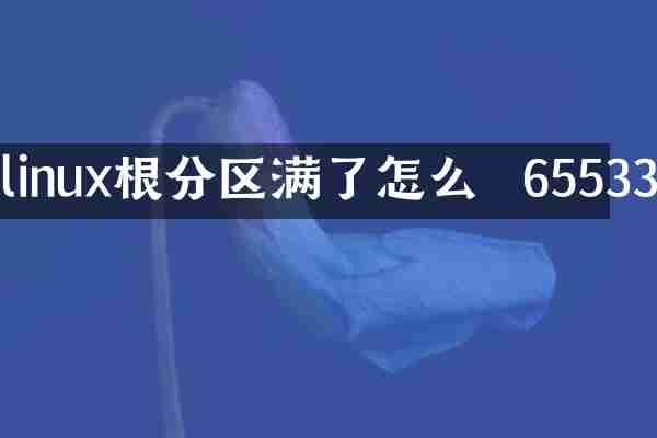 linux根分区满了怎么  65533