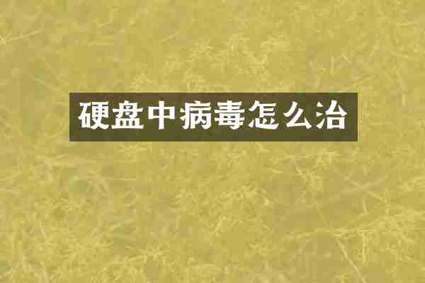 硬盘中病毒怎么治