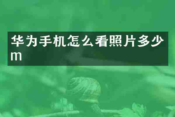 华为手机怎么看照片多少m