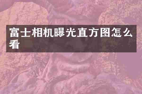 富士相机曝光直方图怎么看