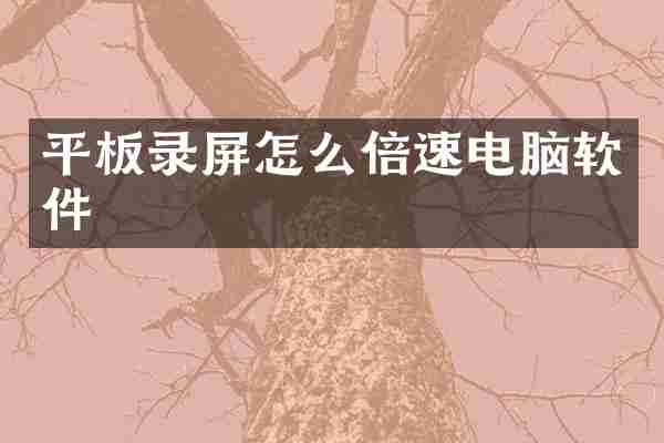 平板录屏怎么倍速电脑软件
