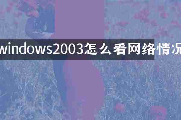 windows2003怎么看网络情况