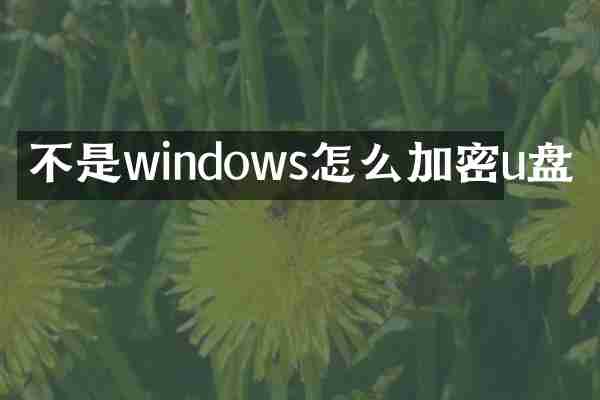 不是windows怎么加密u盘