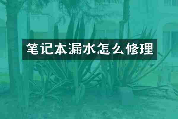 笔记本漏水怎么修理