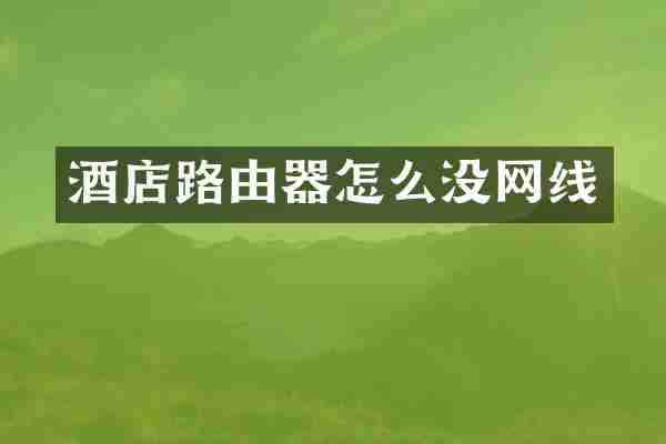 酒店路由器怎么没网线