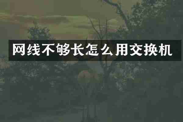 网线不够长怎么用交换机