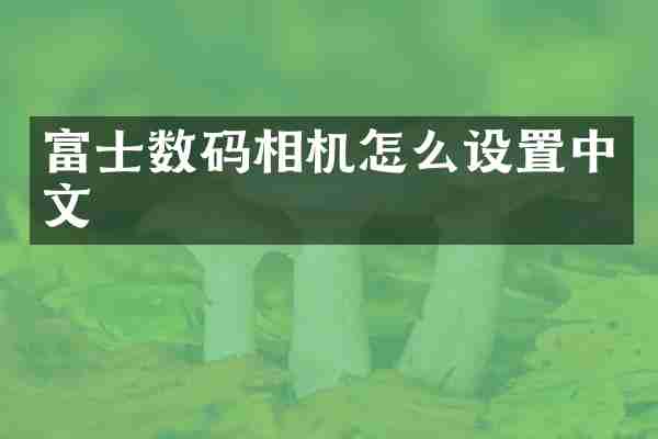富士数码相机怎么设置中文