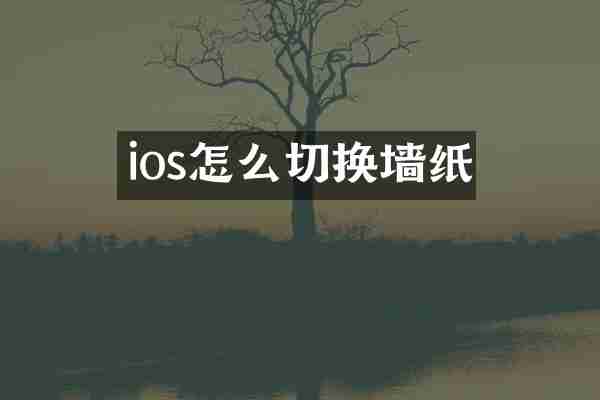 ios怎么切换墙纸
