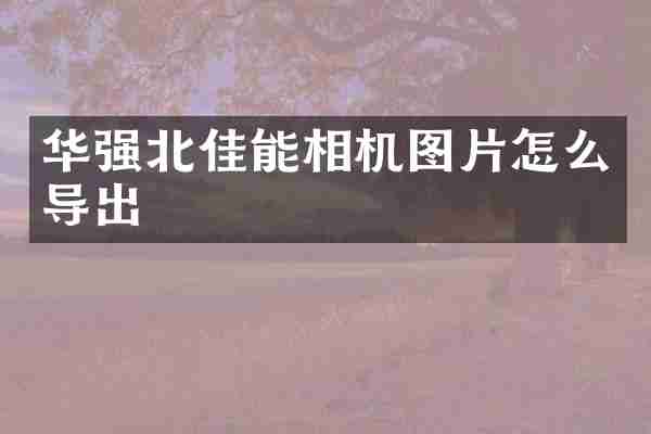 华强北佳能相机图片怎么导出