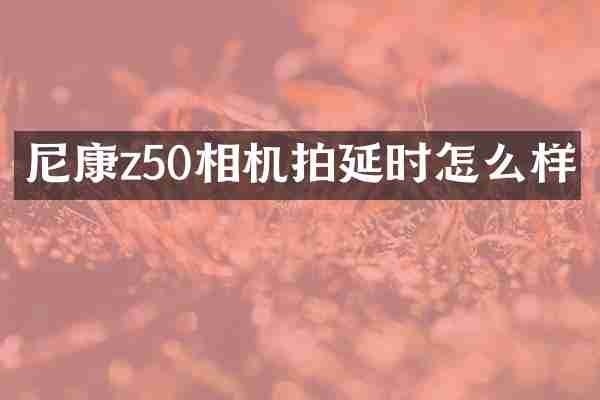尼康z50相机拍延时怎么样