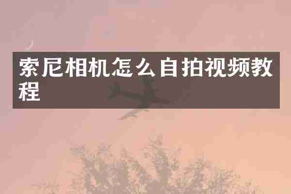索尼相机怎么自拍视频教程