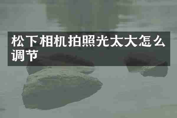 松下相机拍照光太大怎么调节