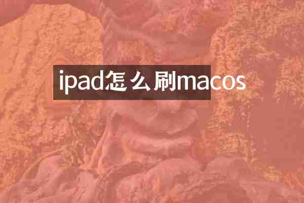 ipad怎么刷macos