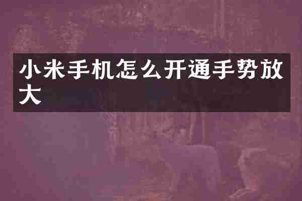 小米手机怎么开通手势放大