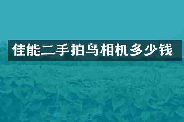 佳能二手拍鸟相机多少钱