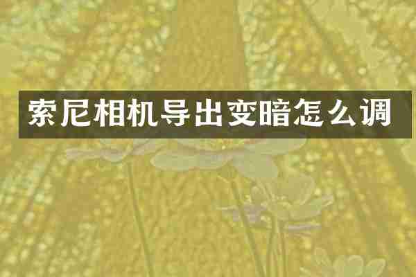 索尼相机导出变暗怎么调