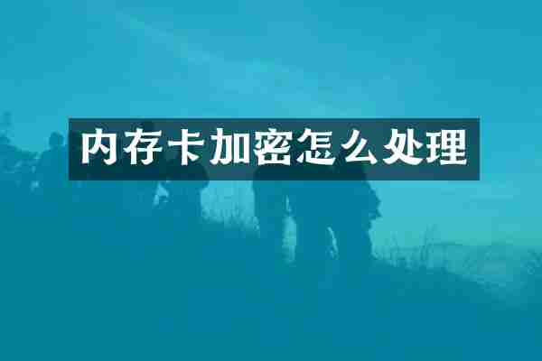 内存卡加密怎么处理
