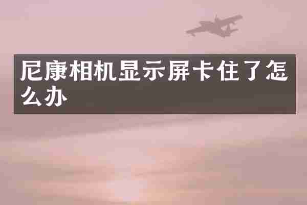 尼康相机显示屏卡住了怎么办