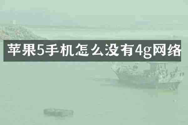 苹果5手机怎么没有4g网络