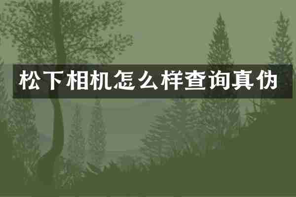 松下相机怎么样查询真伪