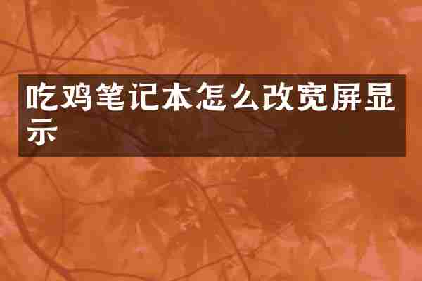 吃鸡笔记本怎么改宽屏显示