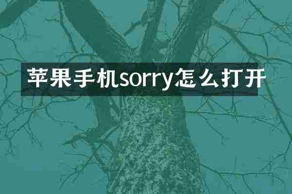 苹果手机sorry怎么打开