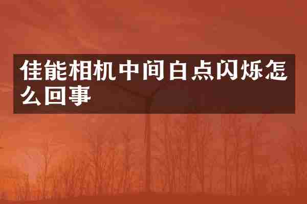 佳能相机中间白点闪烁怎么回事
