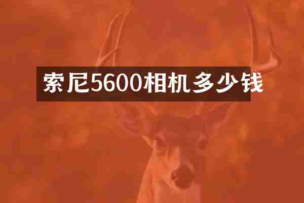 索尼5600相机多少钱