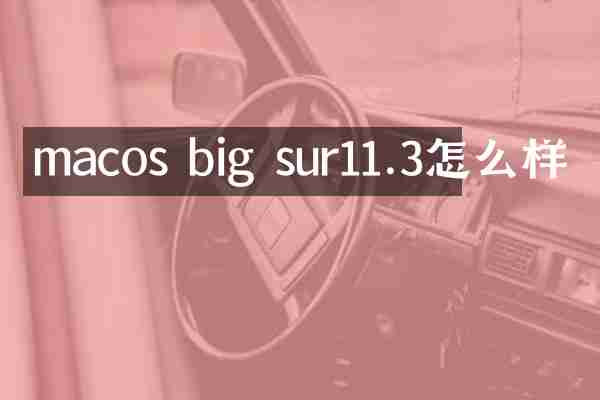 macos big sur11.3怎么样