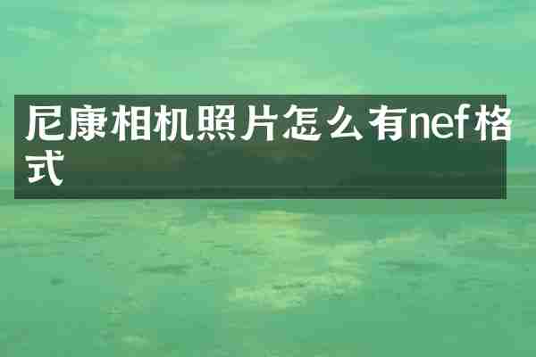 尼康相机照片怎么有nef格式