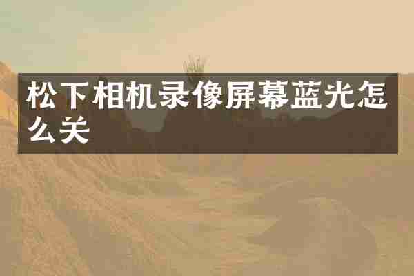 松下相机录像屏幕蓝光怎么关