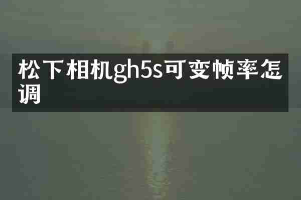 松下相机gh5s可变帧率怎么调