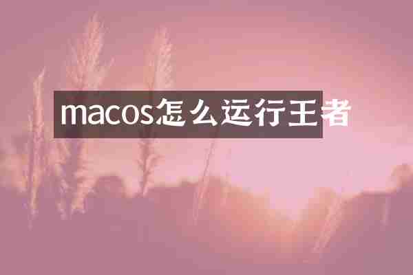 macos怎么运行王者