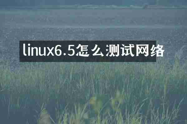 linux6.5怎么测试网络
