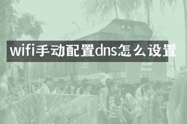 wifi手动配置dns怎么设置
