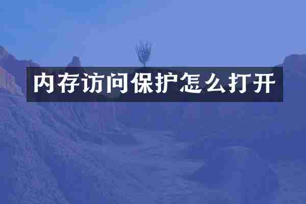 内存访问保护怎么打开