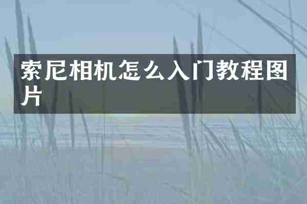 索尼相机怎么入门教程图片