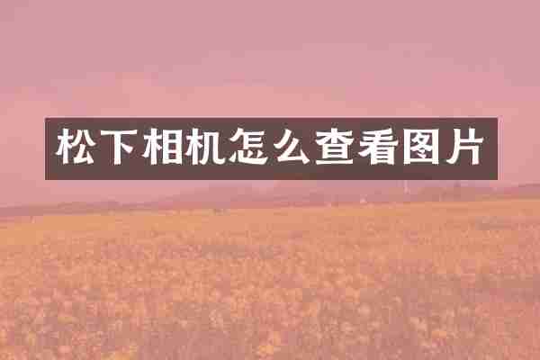 松下相机怎么查看图片